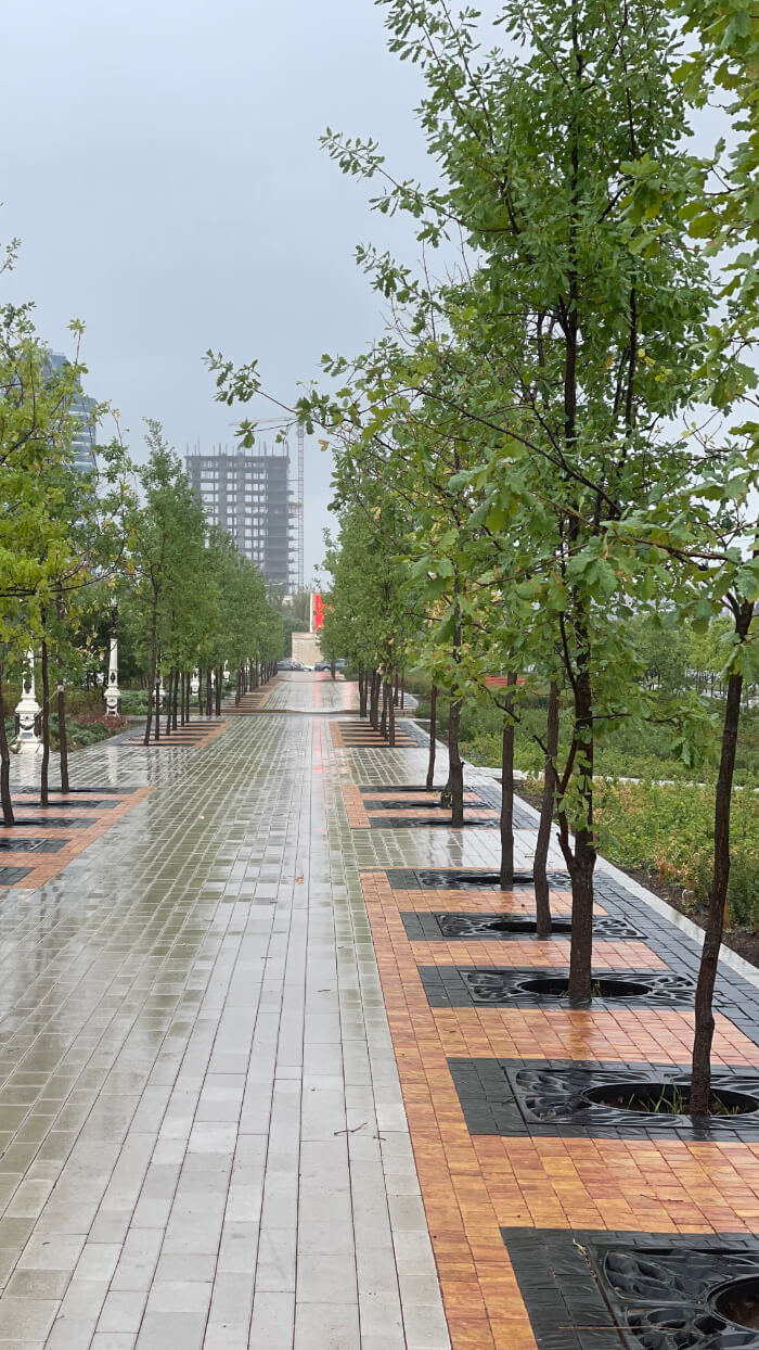 Приствольная решетка для дерева ZKING CRUST 1.2х1.2м Черная в Таганроге фото