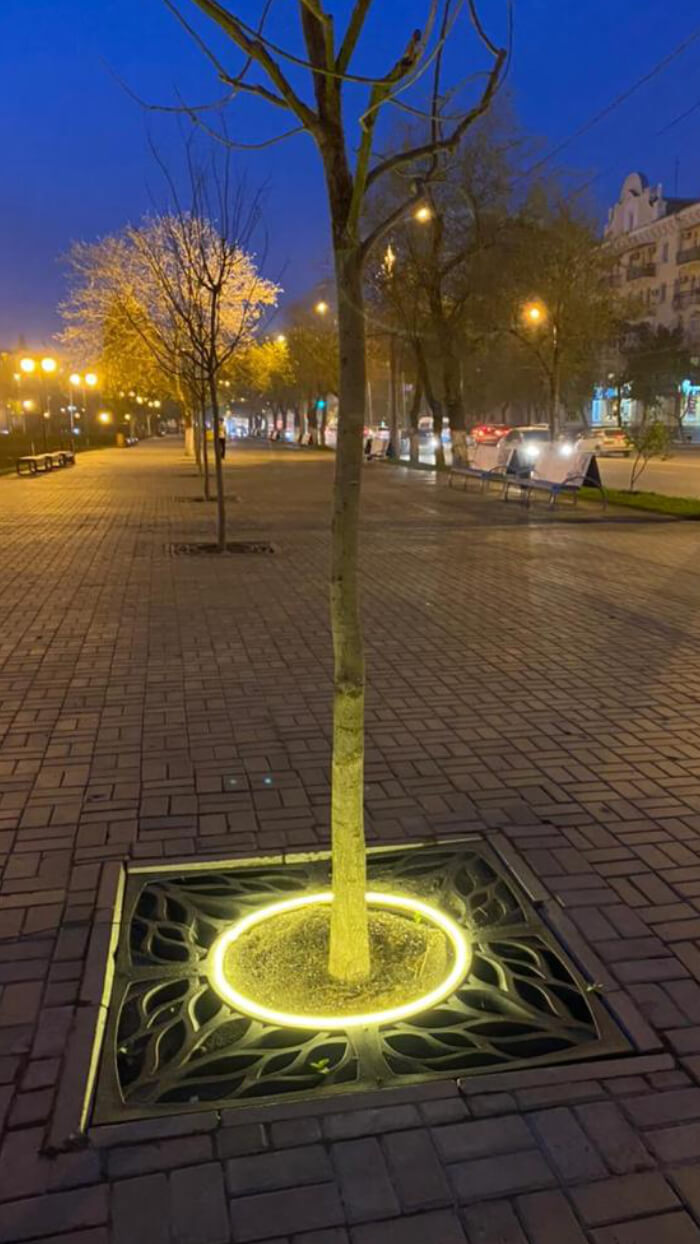 Приствольная решетка для дерева ZKING CRUST 1.2х1.2м Черная в Таганроге фото